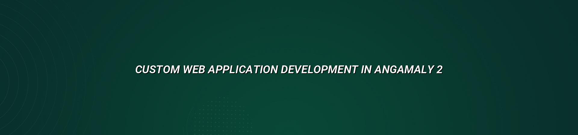 Custom web application development planning for Angamaly businesses