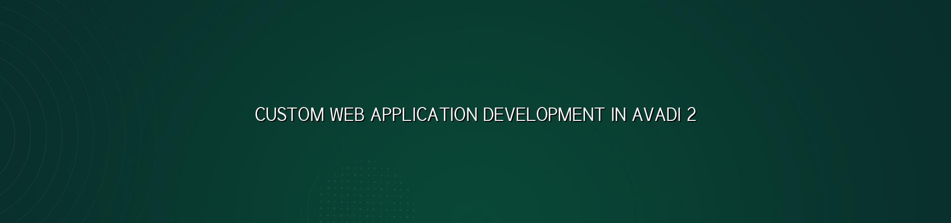 Custom Development Process