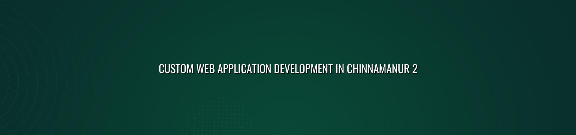 Custom web application checklist for Chinnamanur teams