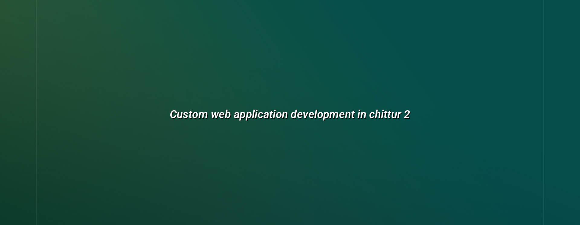 Planning custom web applications for Chittur businesses
