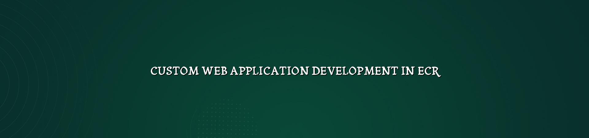 Custom Web Application Development in ECR — WebGLITS