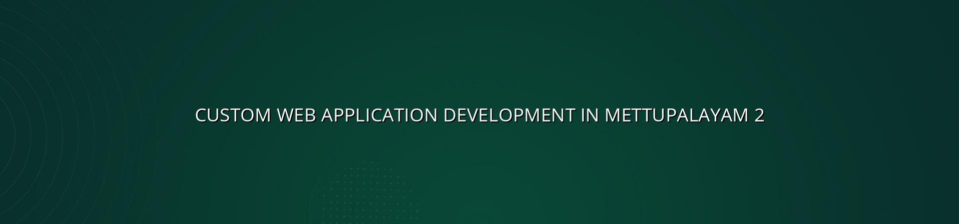 Custom web application planning for Mettupalayam businesses
