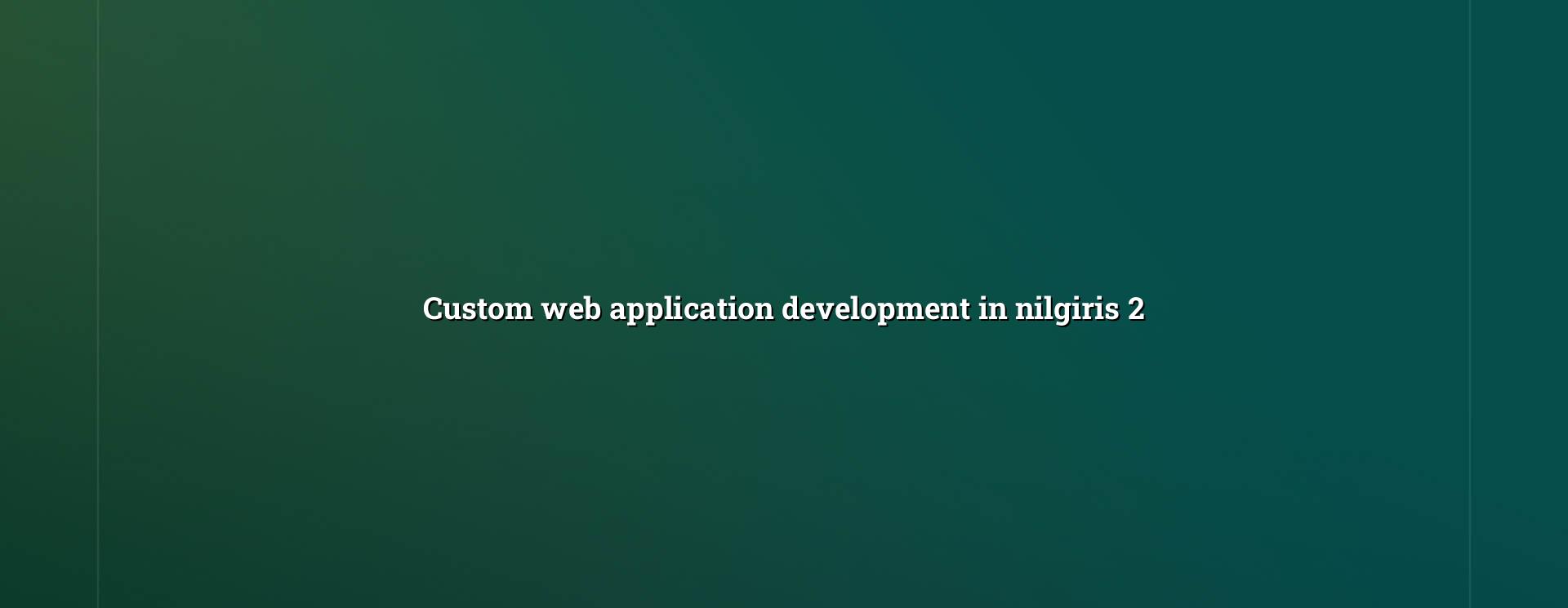 Custom app planning for Nilgiris businesses