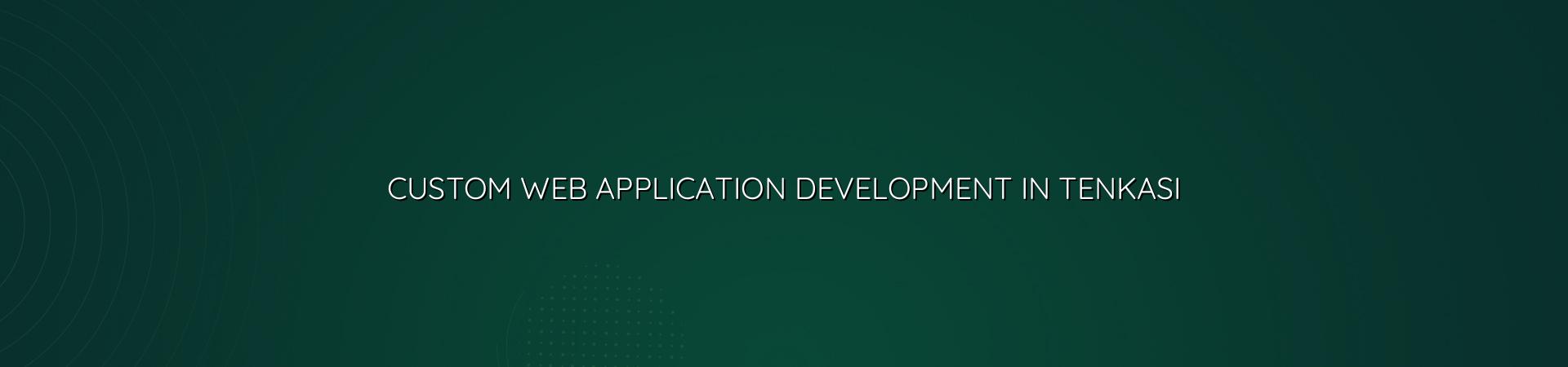 Custom web application development in Tenkasi — WebGLITS