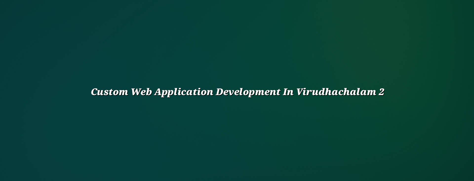 Custom business software planning for Virudhachalam teams