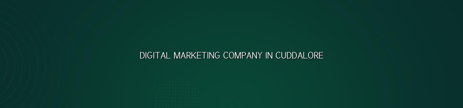 Digital Marketing Company in Cuddalore — WebGLITS