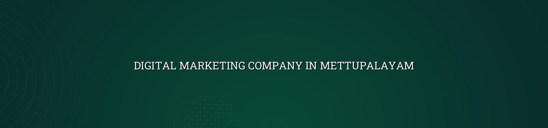 Digital Marketing Company in Mettupalayam in Nagercoil — WebGLITS