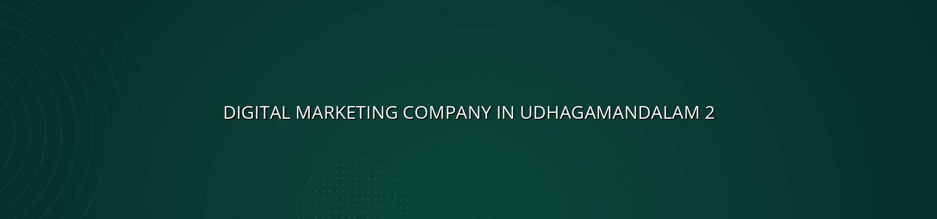 Digital marketing support for Udhagamandalam businesses