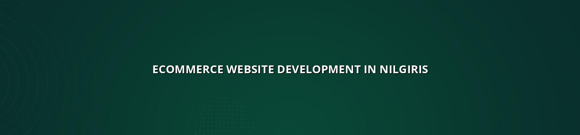Ecommerce website development in Nilgiris — WebGLITS
