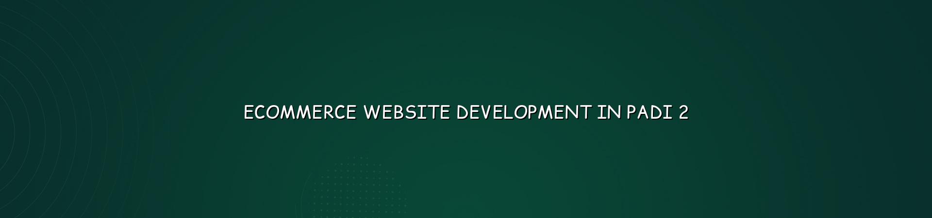 Ecommerce website development process for Padi businesses