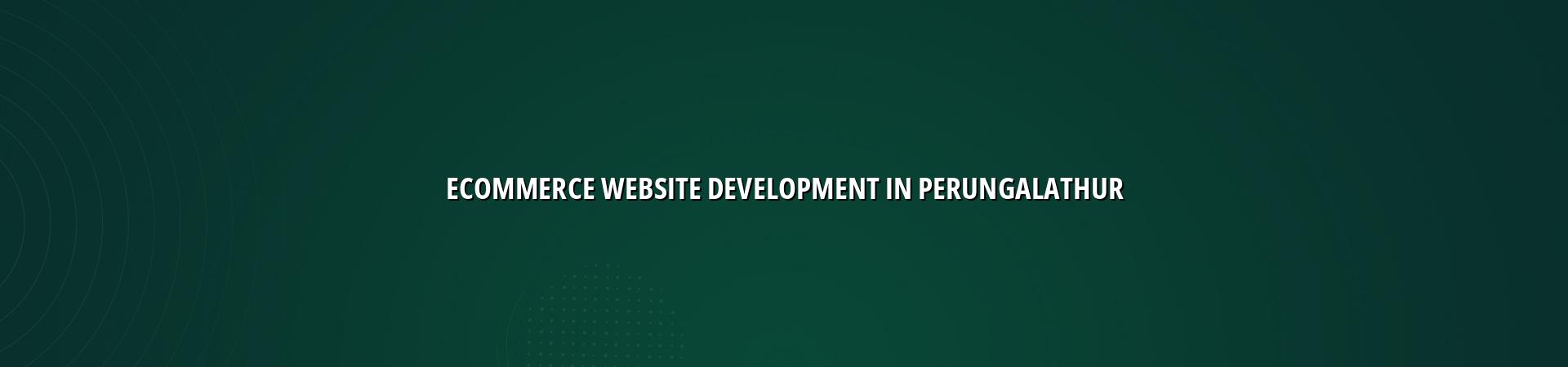 Ecommerce Website Development in Perungalathur — WebGLITS