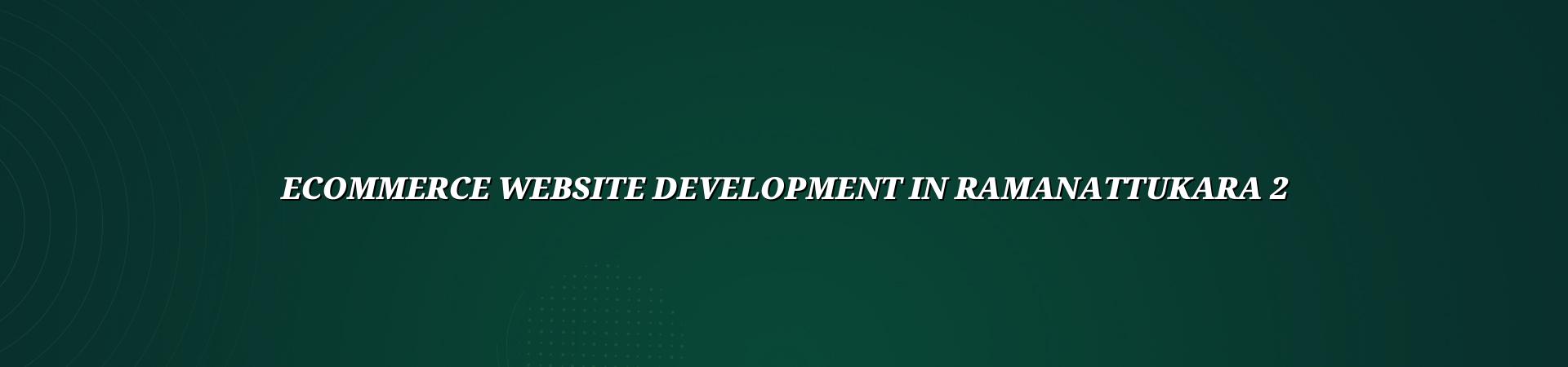Ecommerce store planning and checkout design for Ramanattukara businesses