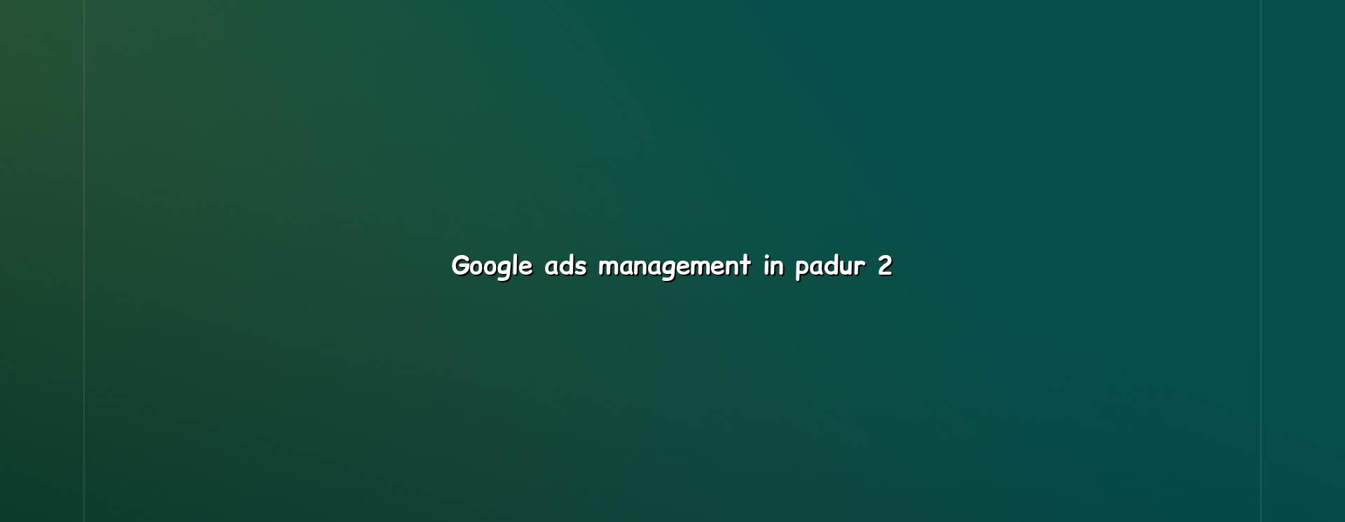 Google Ads Management Process