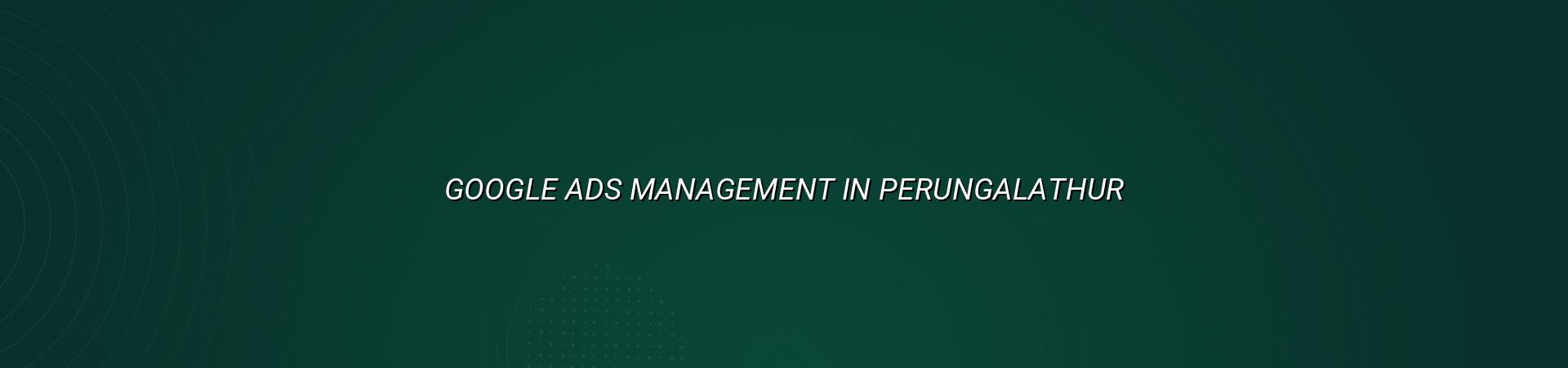 Google Ads Management in Perungalathur — WebGLITS