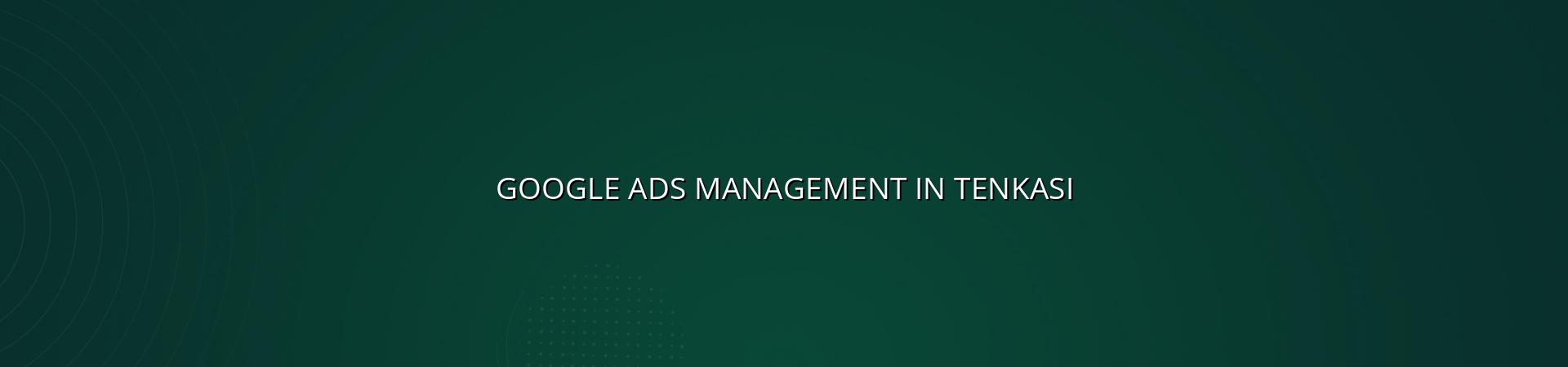 Google Ads Management in Tenkasi by WebGLITS