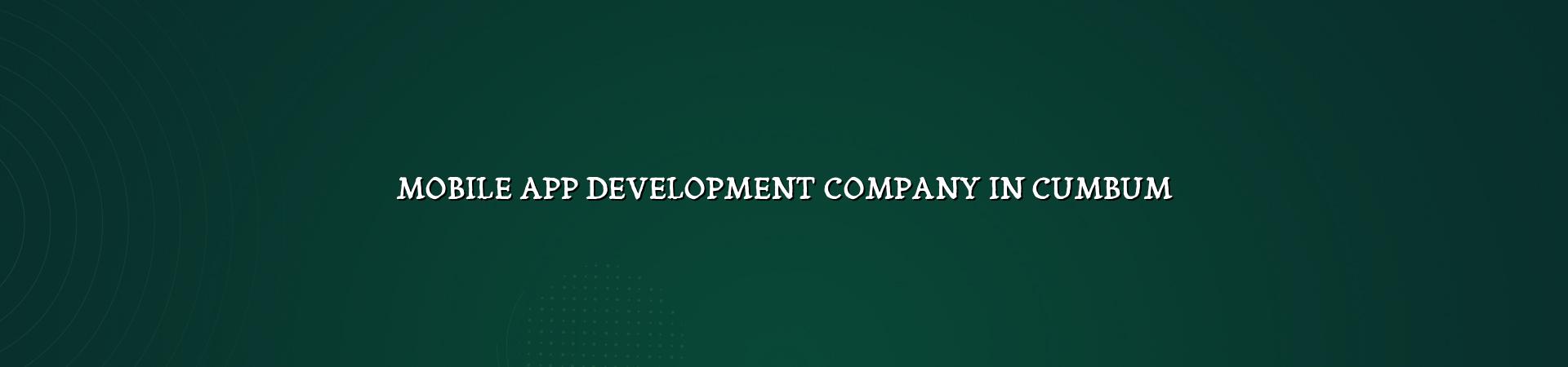 Mobile App Development Company in Cumbum — WebGLITS