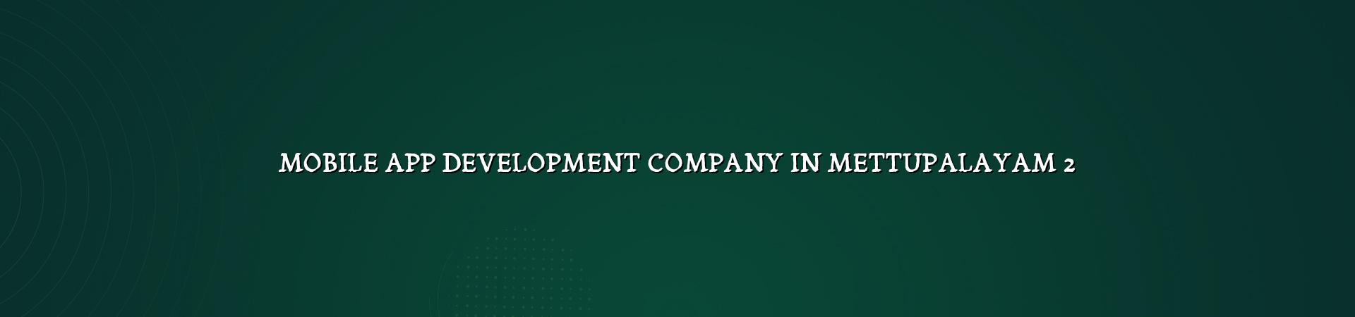 Mobile app planning and development for Mettupalayam businesses