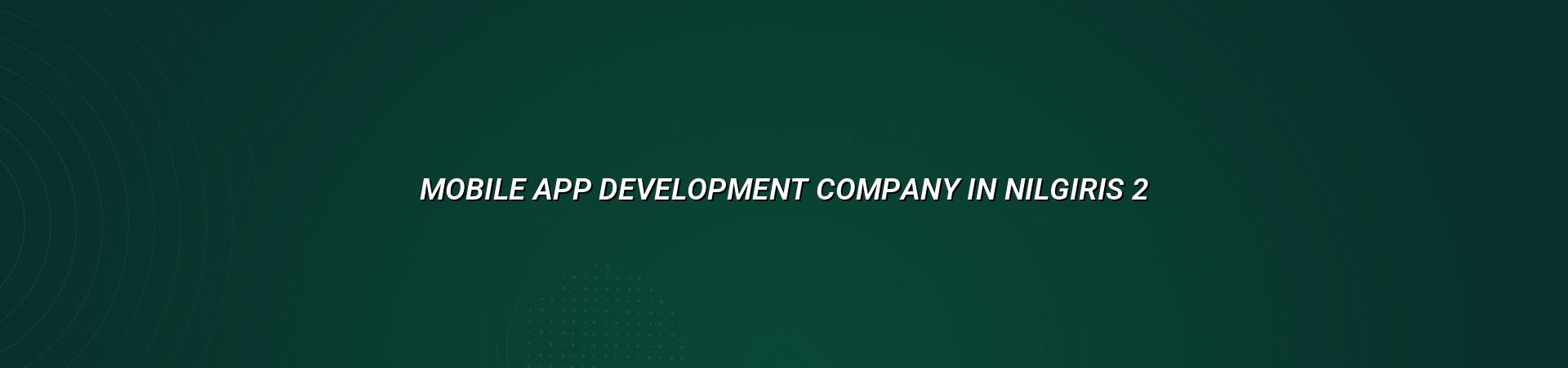 Mobile app development planning for Nilgiris businesses
