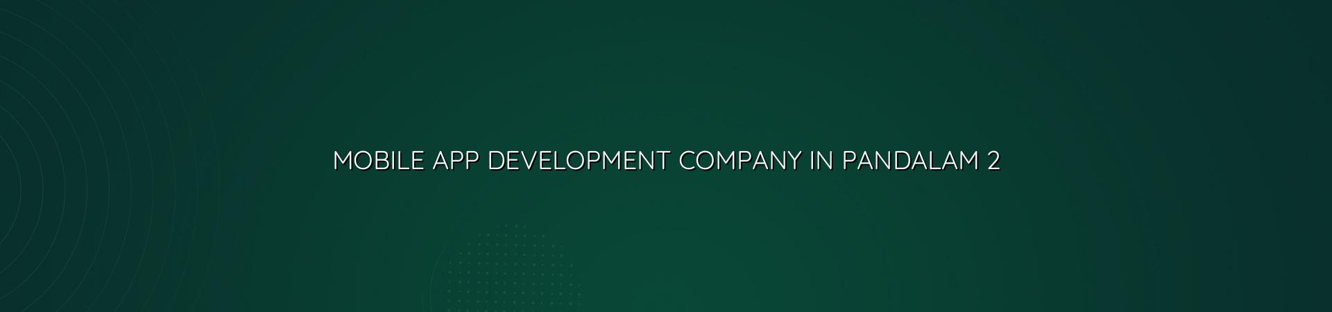 App planning and mobile app development for Pandalam businesses