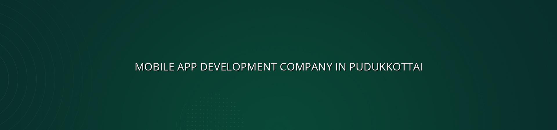 Mobile App Development Company In Pudukkottai in Nagercoil — WebGLITS