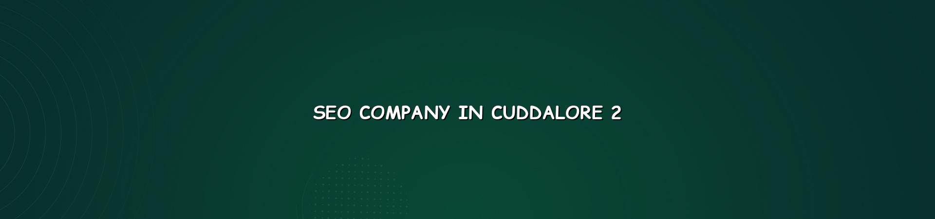 Seo Company in Cuddalore checklist and planning