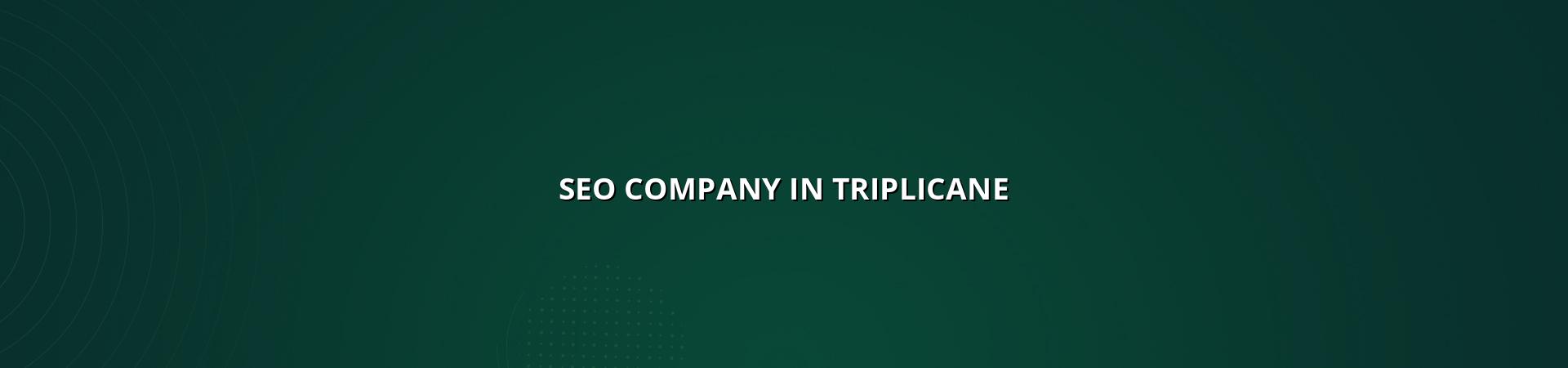 SEO company in Triplicane — WebGLITS