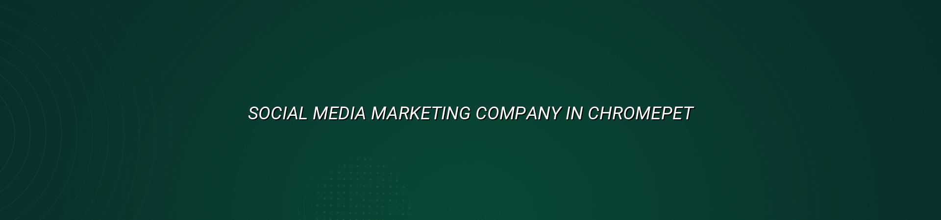 Social Media Marketing Company in Chromepet — WebGLITS