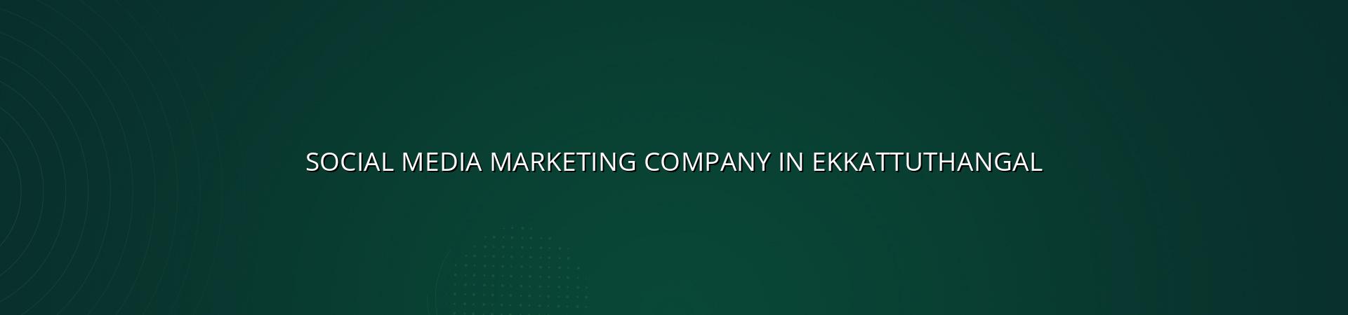 Social Media Marketing Company in Ekkattuthangal in Nagercoil — WebGLITS