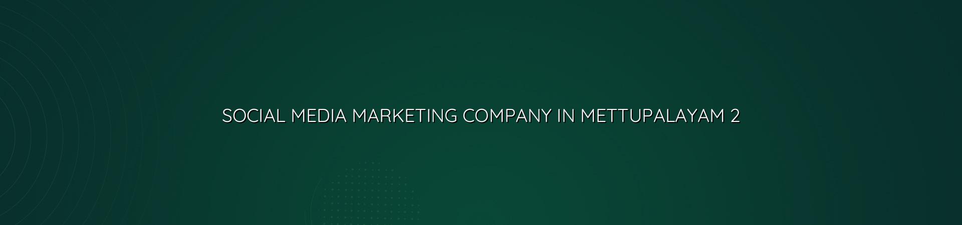 social media marketing checklist for Mettupalayam businesses