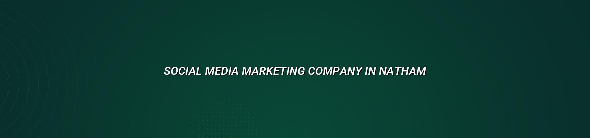 Social Media Marketing Company in Natham — WebGLITS