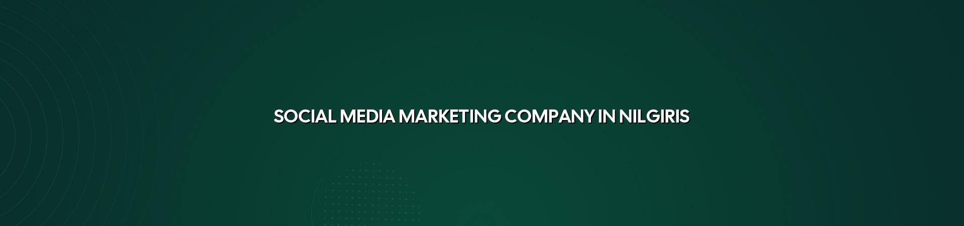 Social media marketing company in Nilgiris — WebGLITS