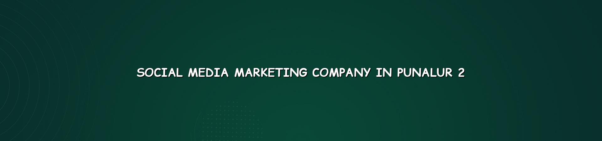 Social media marketing workflow for Punalur businesses