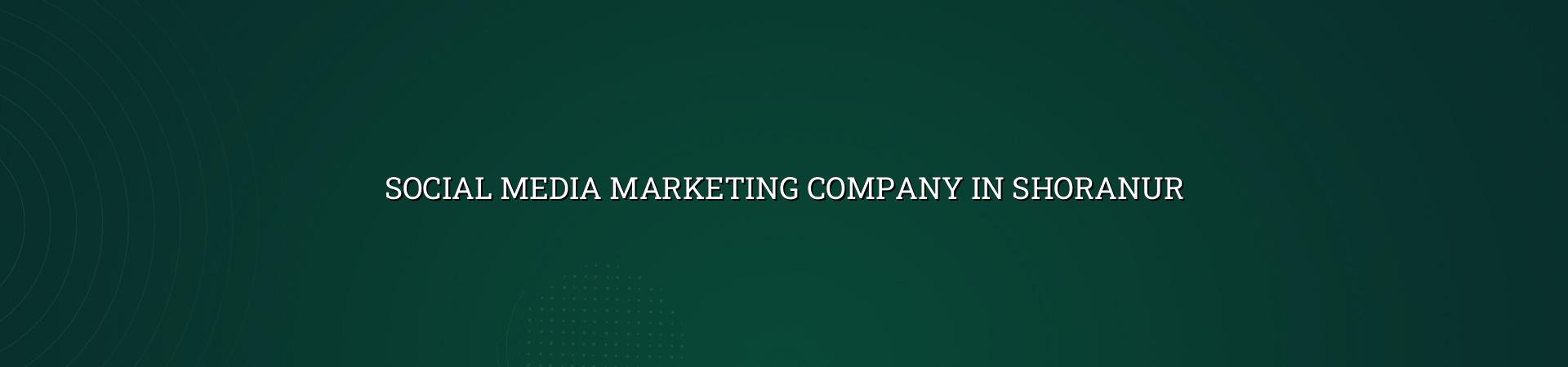 Social Media Marketing Company in Shoranur — WebGLITS