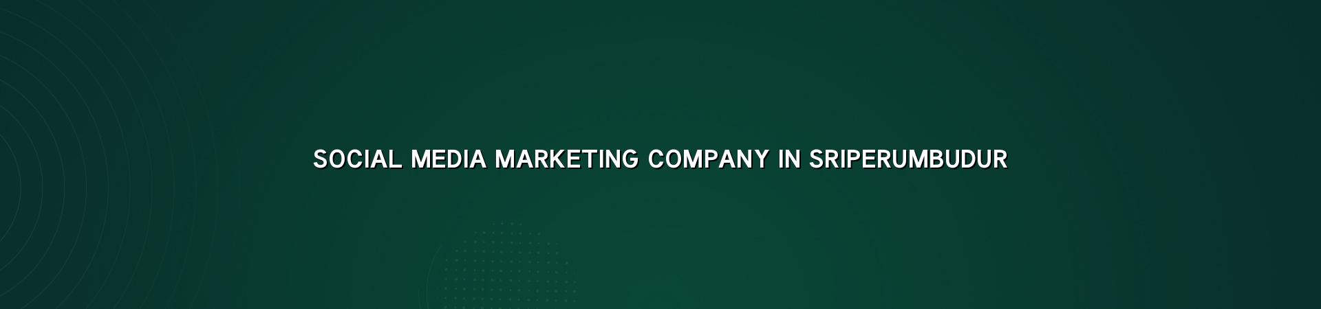 Social Media Marketing Company in Sriperumbudur — WebGLITS