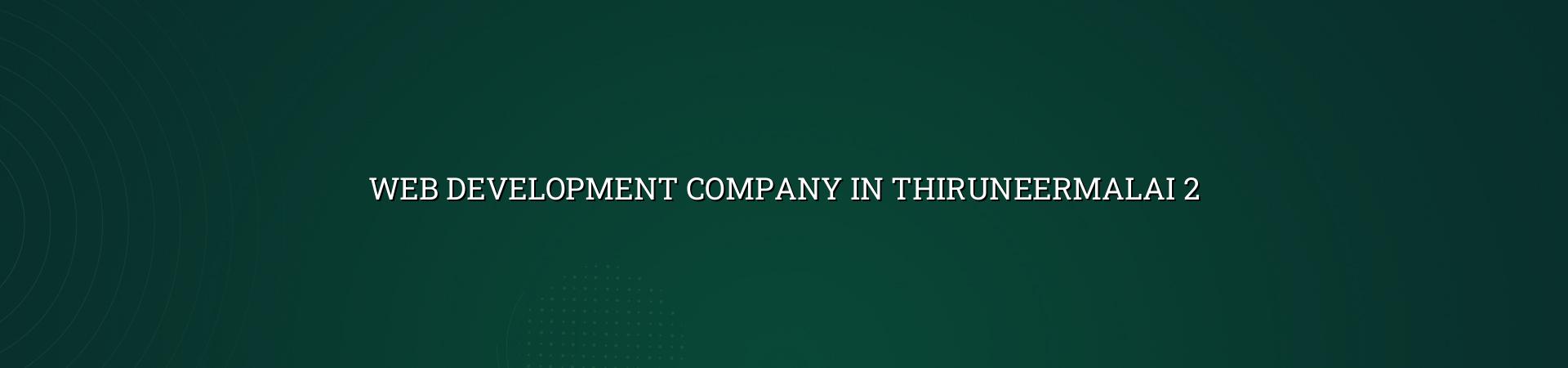 Web development planning for Thiruneermalai businesses