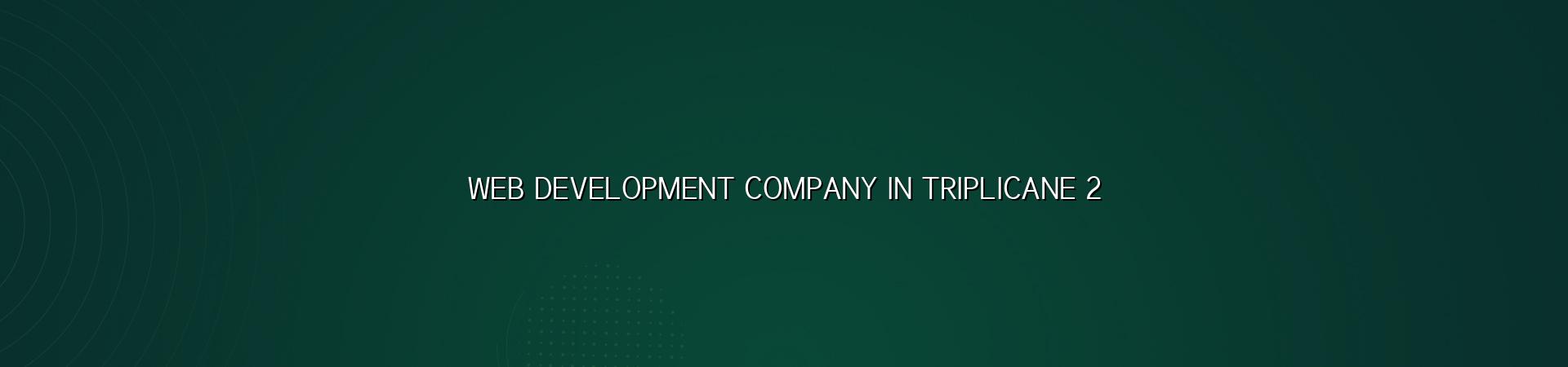 Triplicane web development checklist for business growth