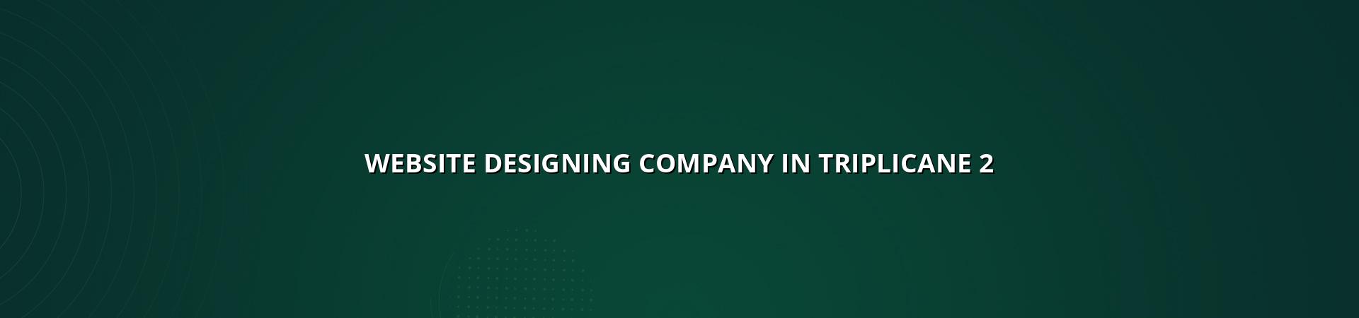 Triplicane website planning and design support