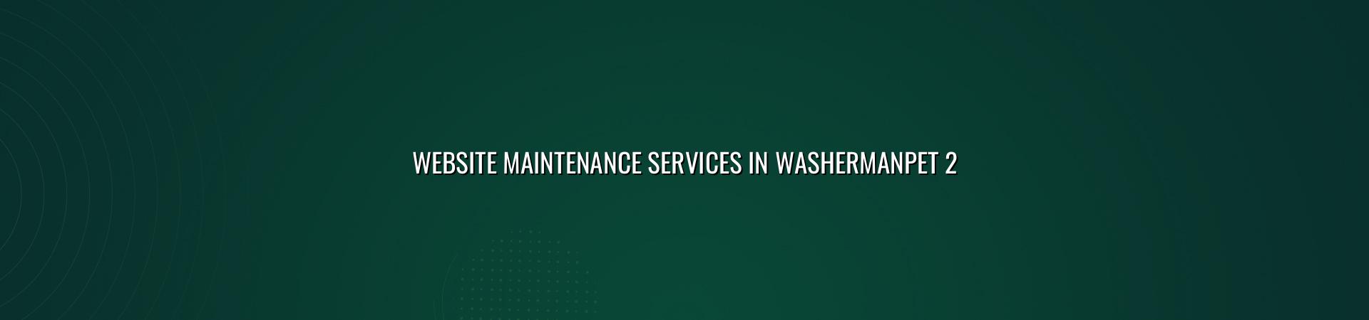 Website maintenance checklist for Washermanpet businesses